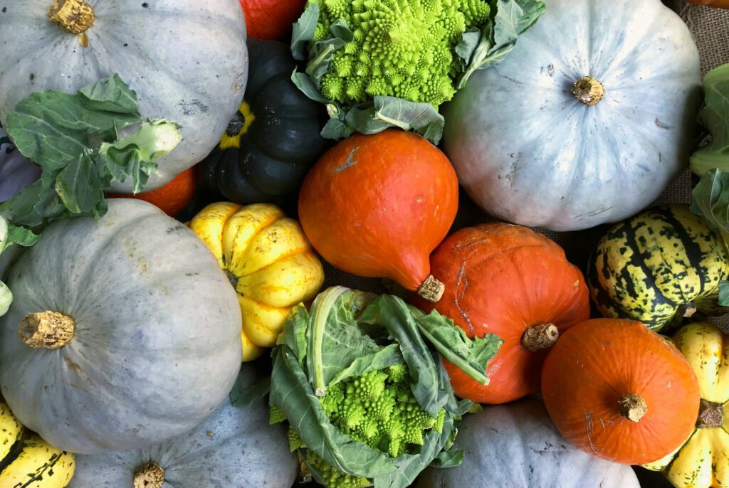 Fall vegetables stacked in a pile like pumpkins, squashes, romanesco etc.
