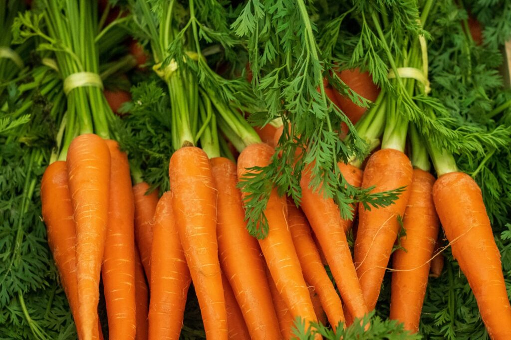 Carrots with their carrot tops included