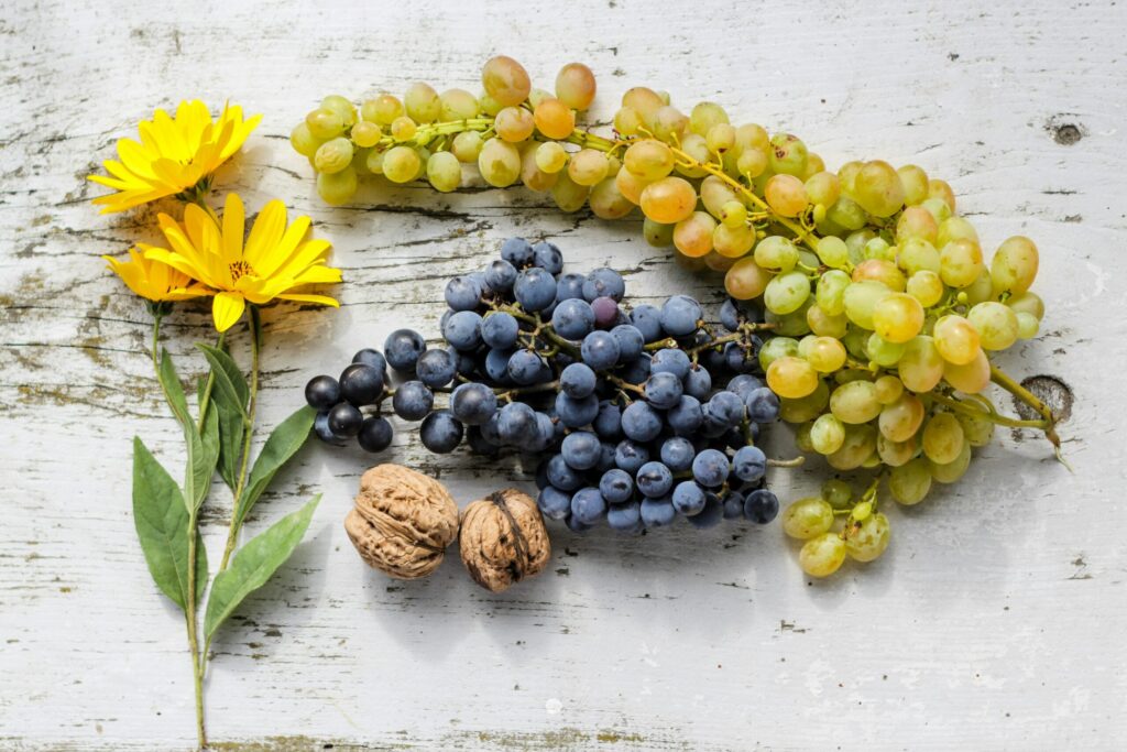 Grapes, nuts and a yellow flower on a gray background
