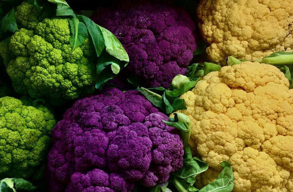 Green, purple and yellow cauliflower